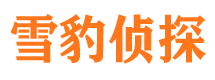 桐柏找人公司